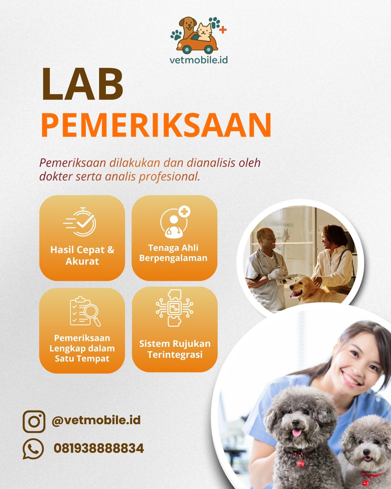 Pemeriksaan lab hewan di rumah vetmobile.id